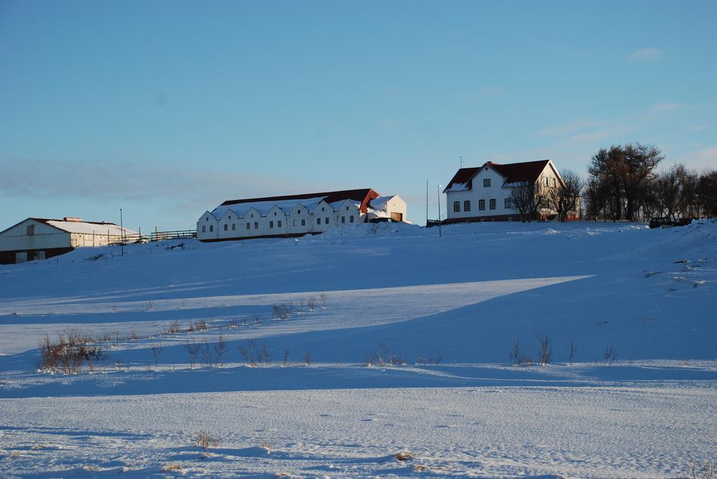 Helluland Guesthouse Saudarkrokur Exterior foto